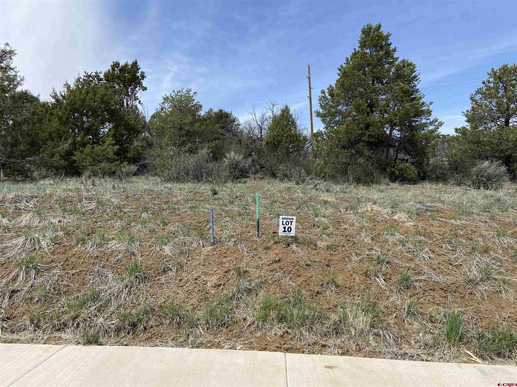 23 Salt Brush Street Property Photo 1