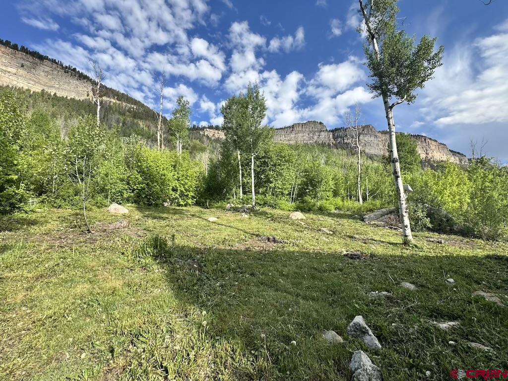 43601 550 Highway Property Photo 33