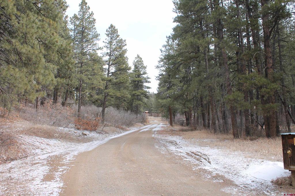 31861 E Highway 160 Property Photo 3
