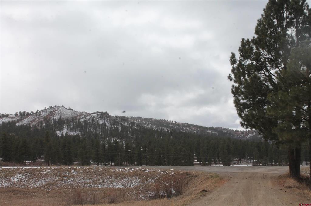 31861 E Highway 160 Property Photo 6