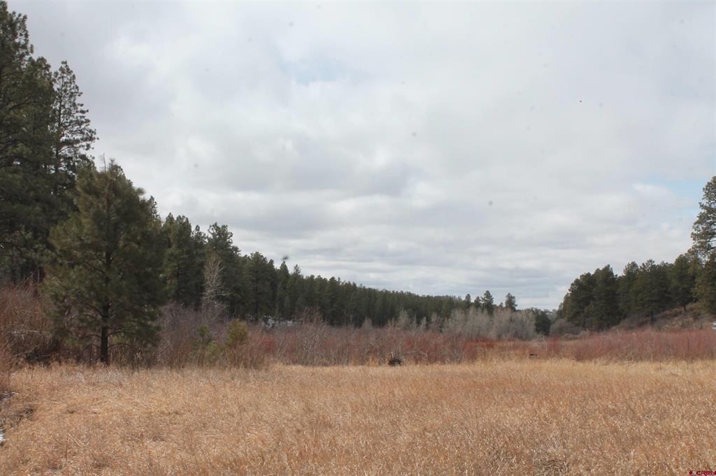 31861 E Highway 160 Property Photo 9