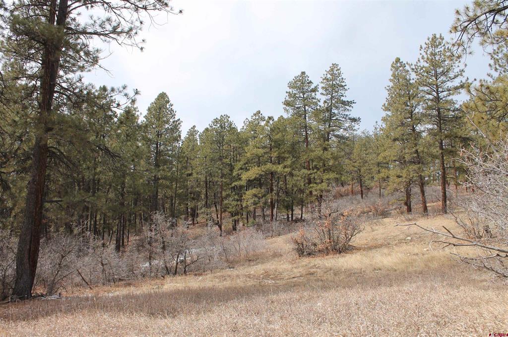 31861 E Highway 160 Property Photo 10