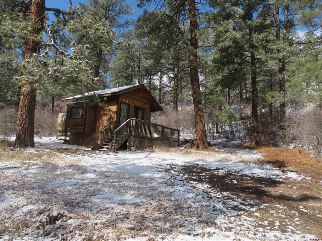 203 Evergreen Property Photo 1