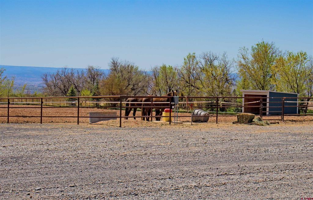 11313 Running Deer Road Property Photo 21
