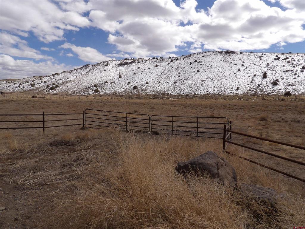 52910 Fdr 250 Property Photo 3