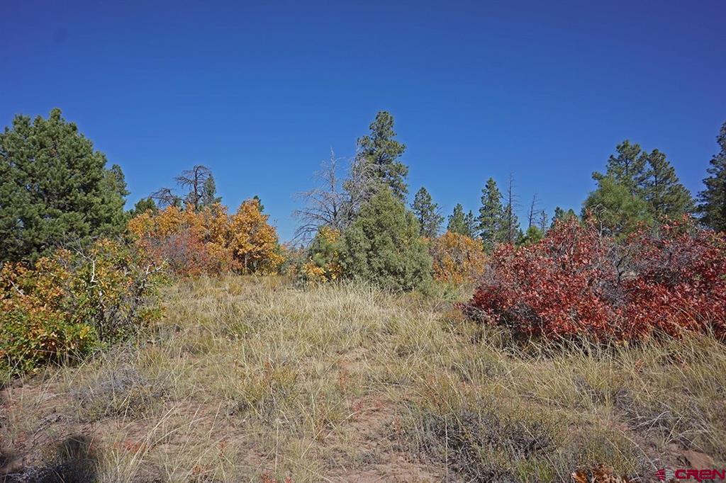 Tbd Road 36.5 Property Photo 4
