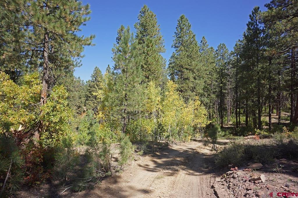 Tbd Road 36.5 Property Photo 6