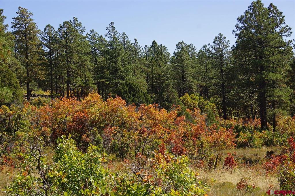 Tbd Road 36.5 Property Photo 10