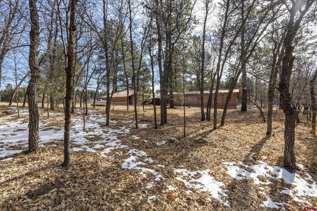 1129 Meadow Road Property Photo 41