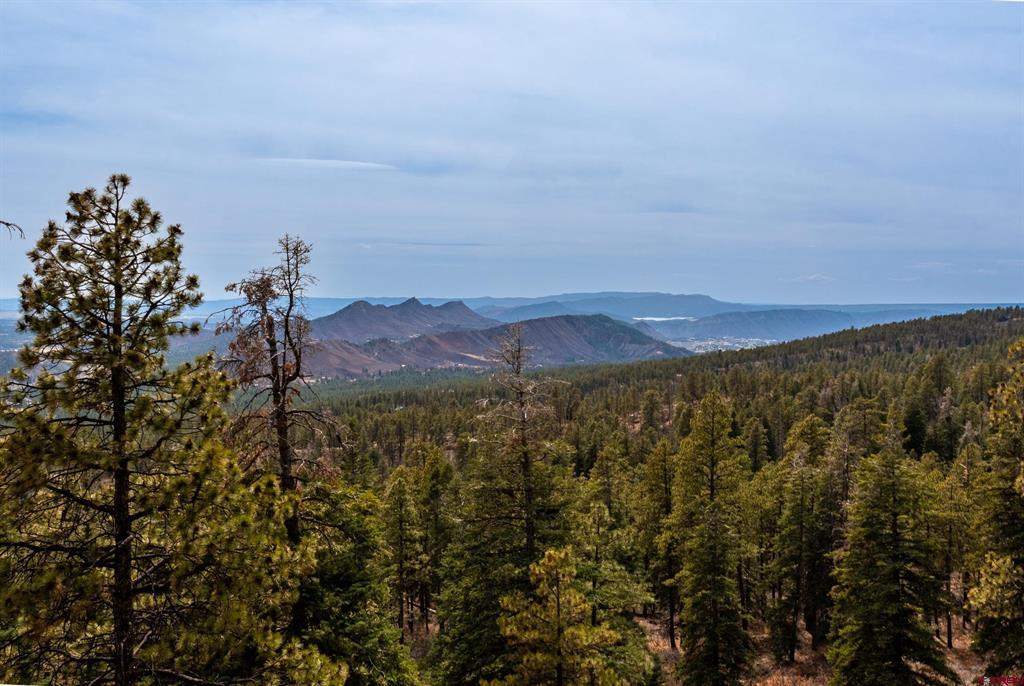Lot 14 Taylor Ranch Road Property Photo