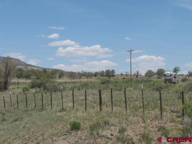 45 Country Meadows Place Property Photo 7