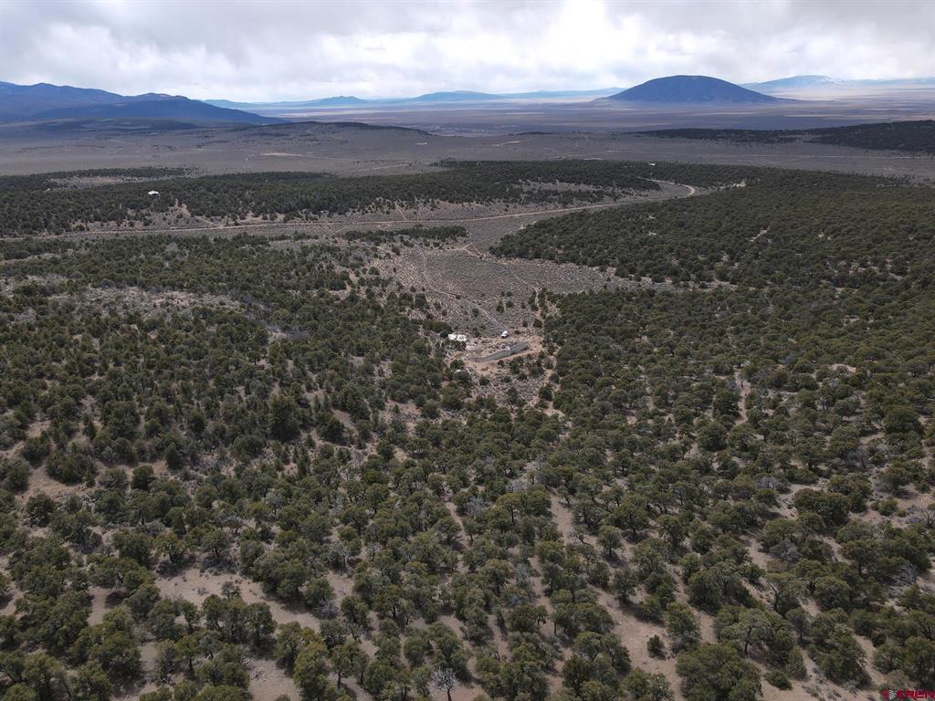 16511 Bull Elk Trl Property Photo 6
