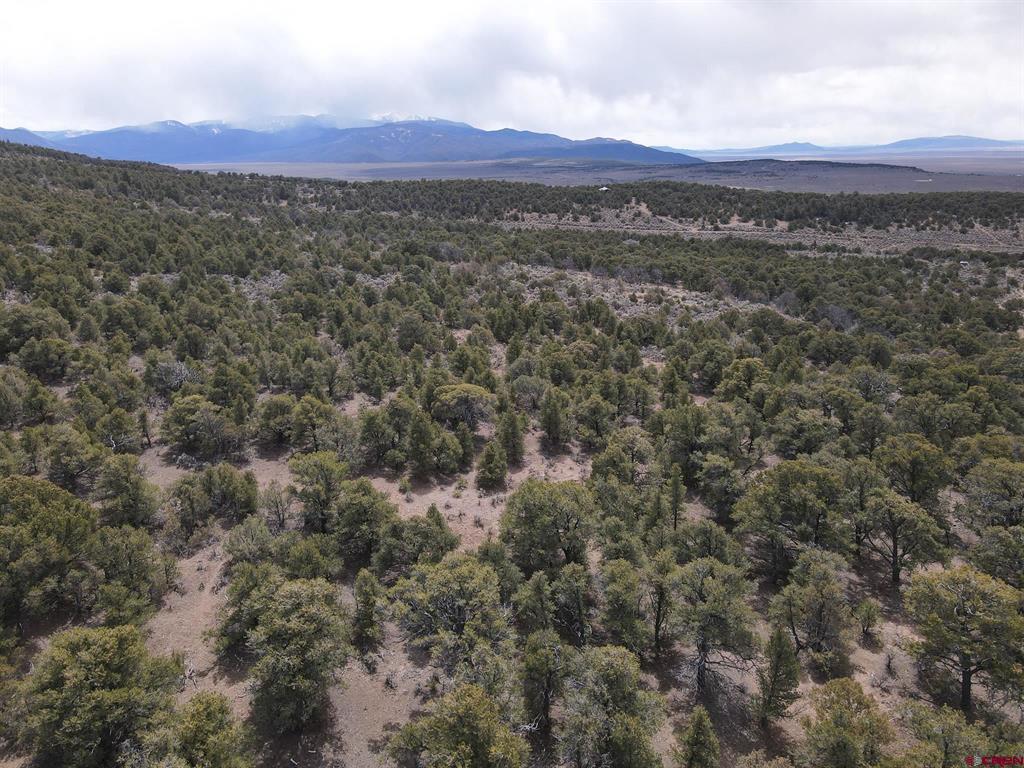 16511 Bull Elk Trl Property Photo 7