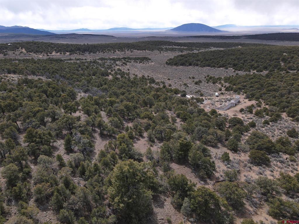 16511 Bull Elk Trl Property Photo 8