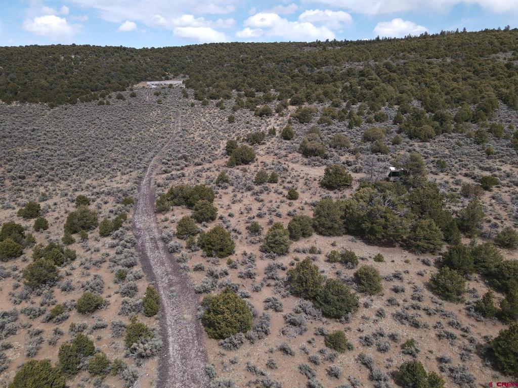 16511 Bull Elk Trl Property Photo 9