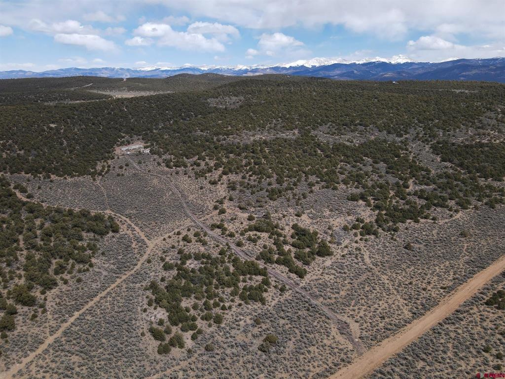 16511 Bull Elk Trl Property Photo 10