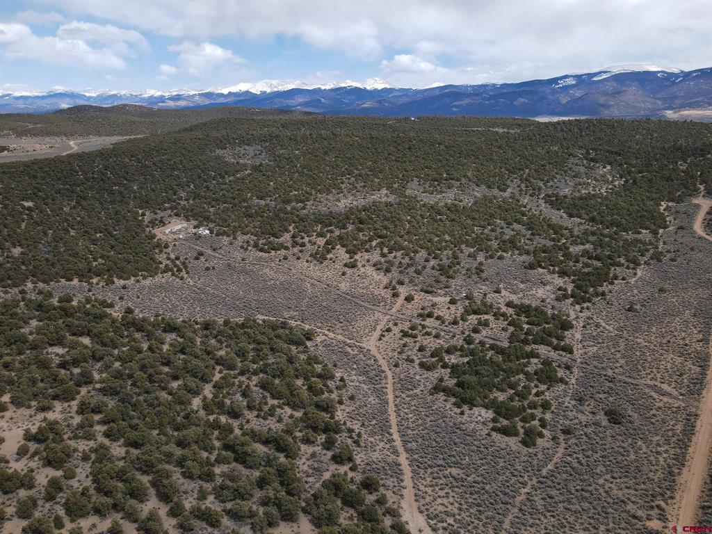 16511 Bull Elk Trl Property Photo 11