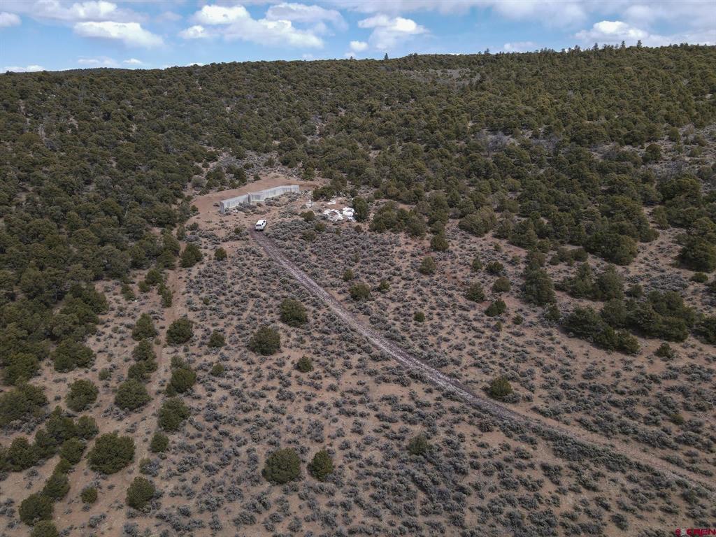 16511 Bull Elk Trl Property Photo 12