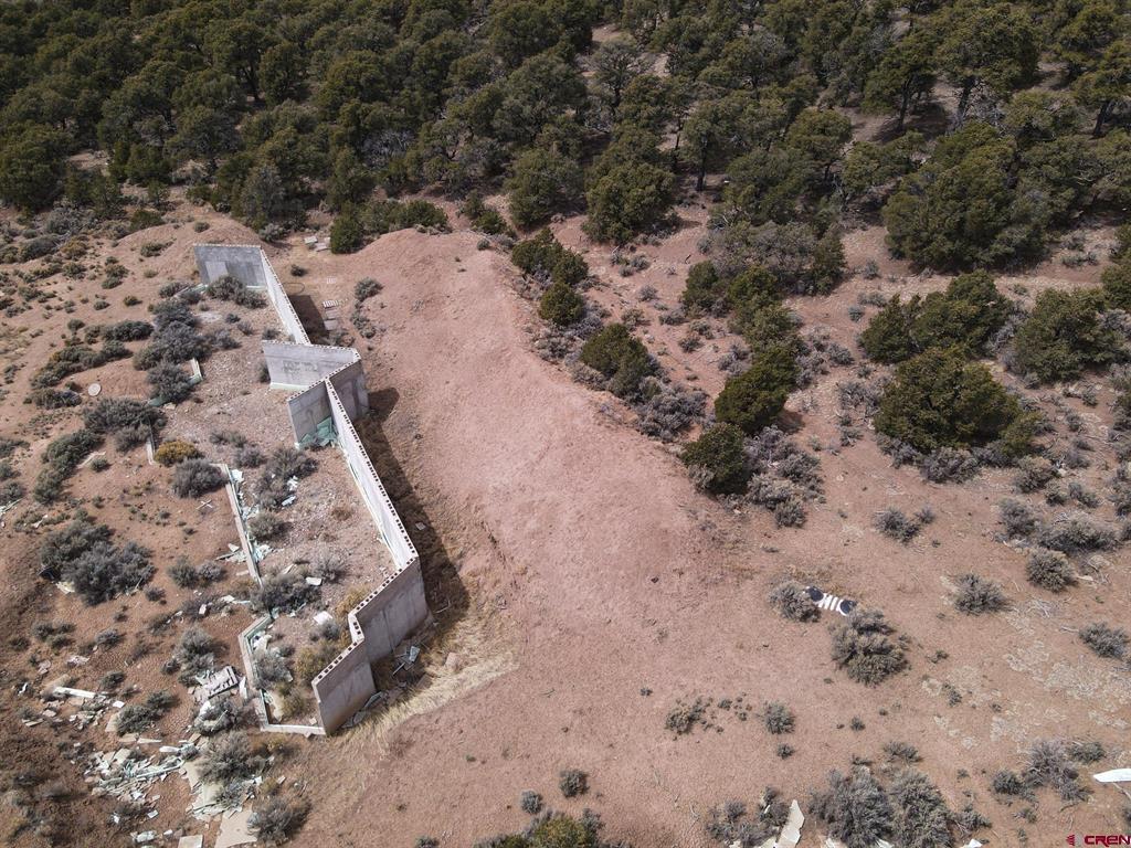 16511 Bull Elk Trl Property Photo 16