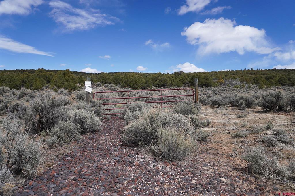 16511 Bull Elk Trl Property Photo 18