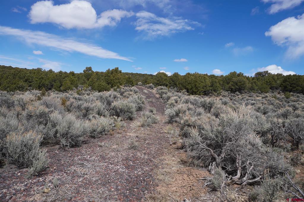16511 Bull Elk Trl Property Photo 19