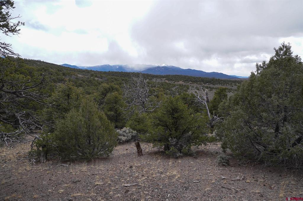 16511 Bull Elk Trl Property Photo 28