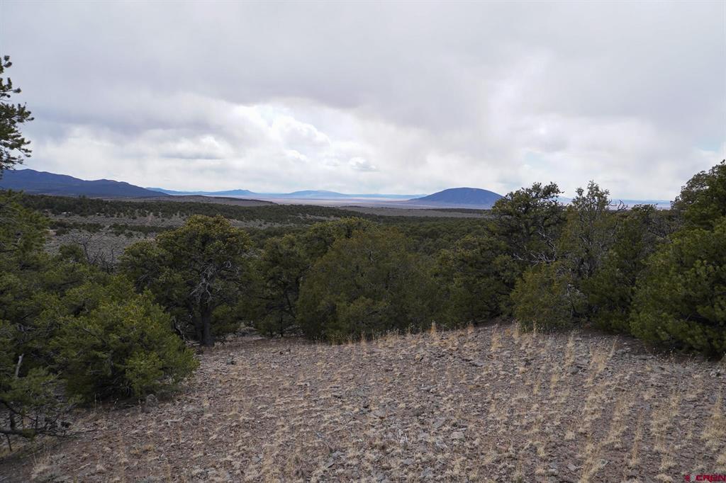 16511 Bull Elk Trl Property Photo 29