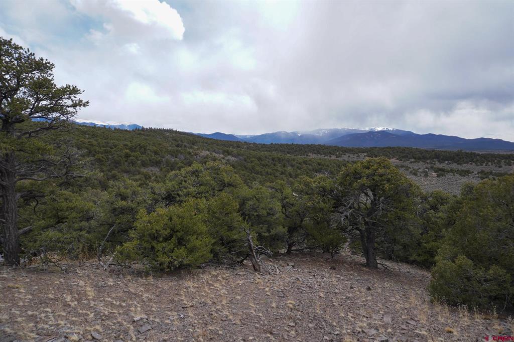 16511 Bull Elk Trl Property Photo 30