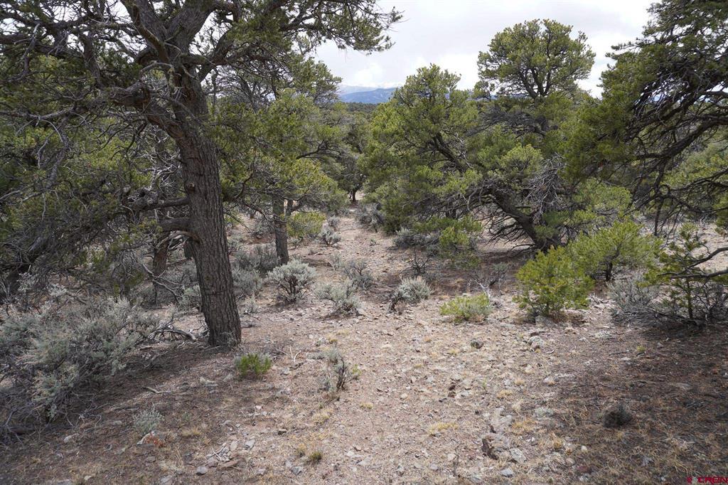 16511 Bull Elk Trl Property Photo 31