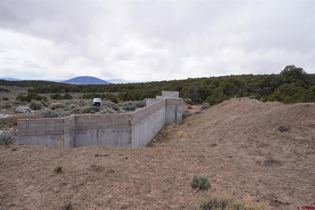 16511 Bull Elk Trl Property Photo 32