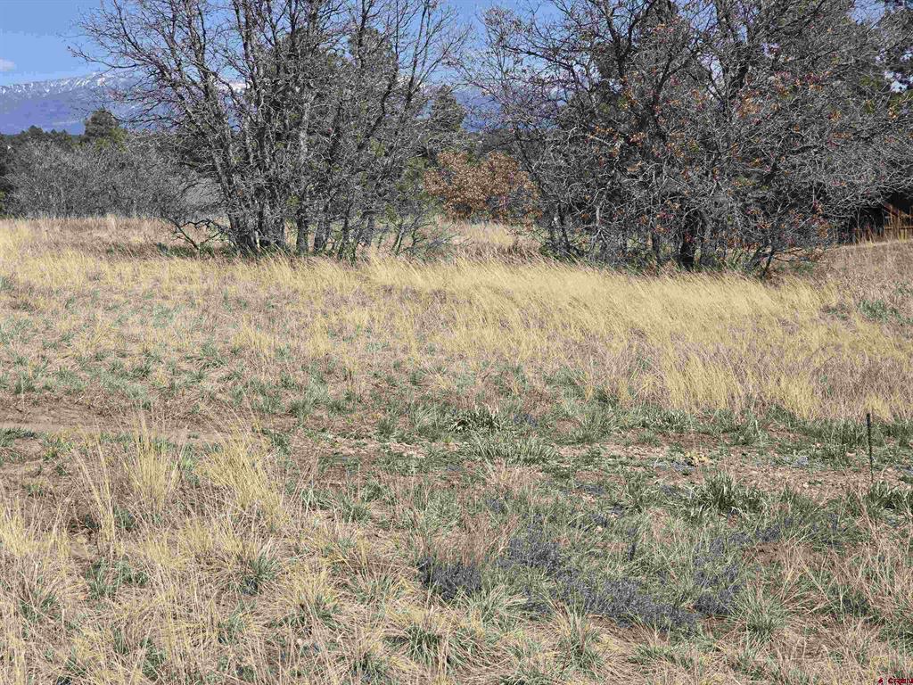 1151 Trails Boulevard Property Photo