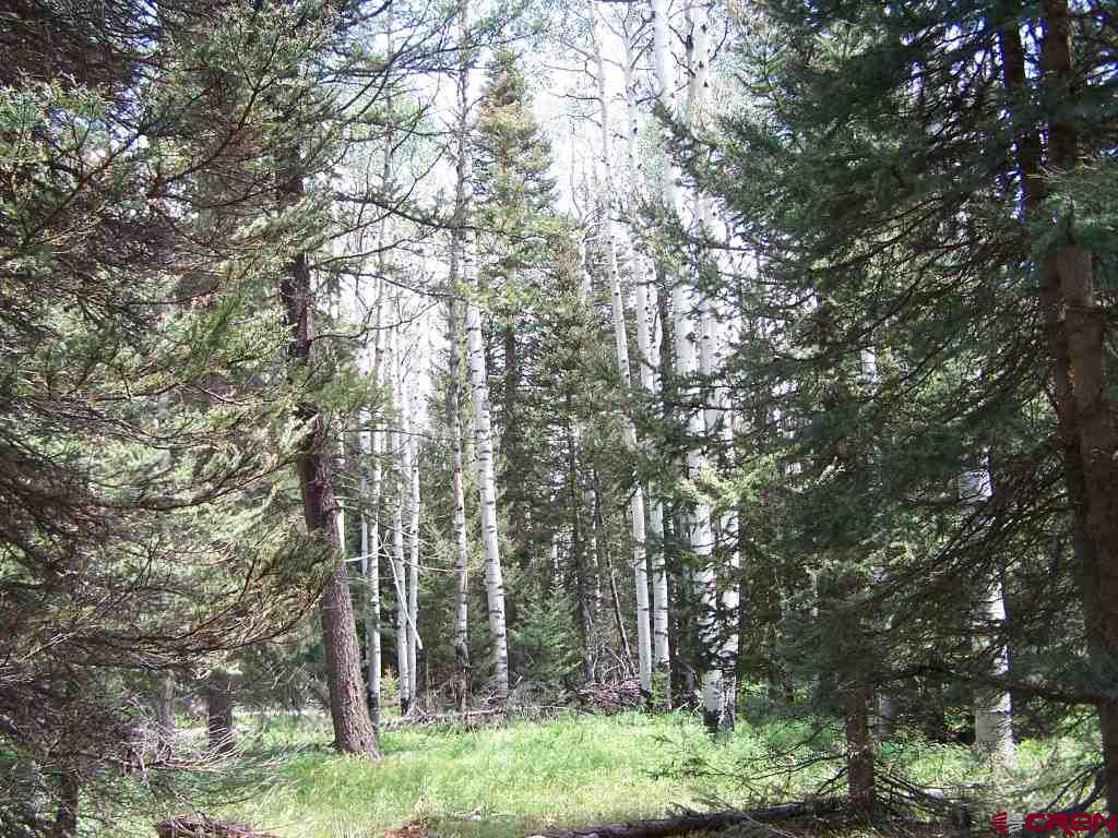 550 Snowshoe Lane Property Photo