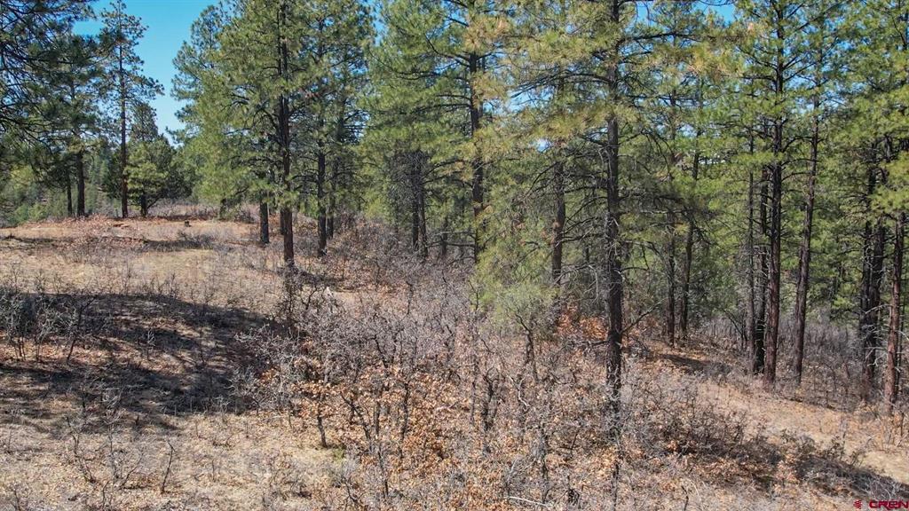 149 Engineer Point Property Photo 2