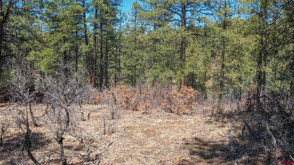 149 Engineer Point Property Photo 7