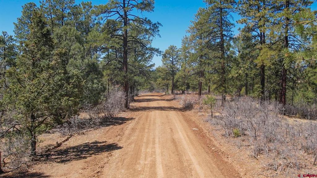 149 Engineer Point Property Photo 12