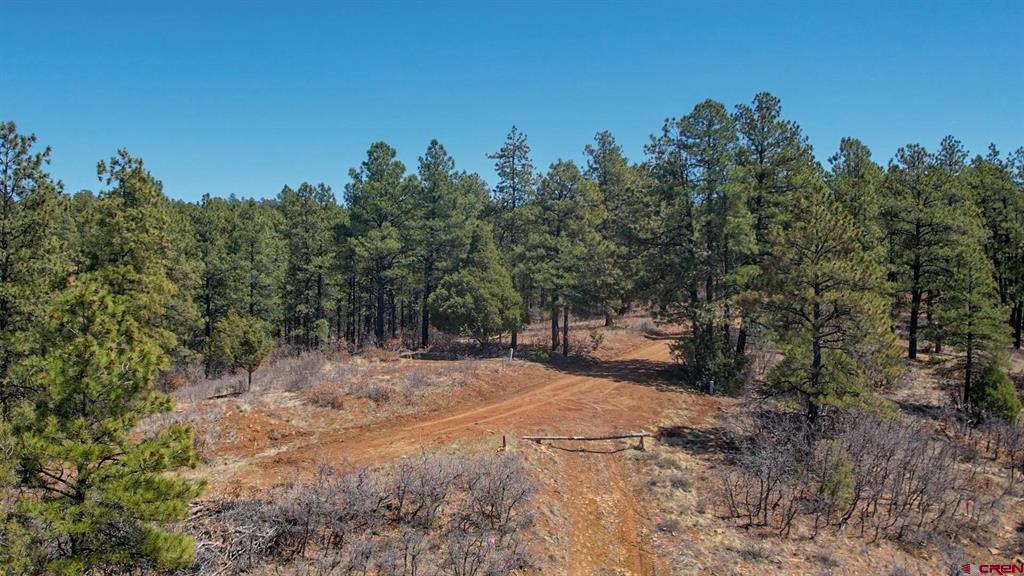 154 Engineer Point Property Photo 6