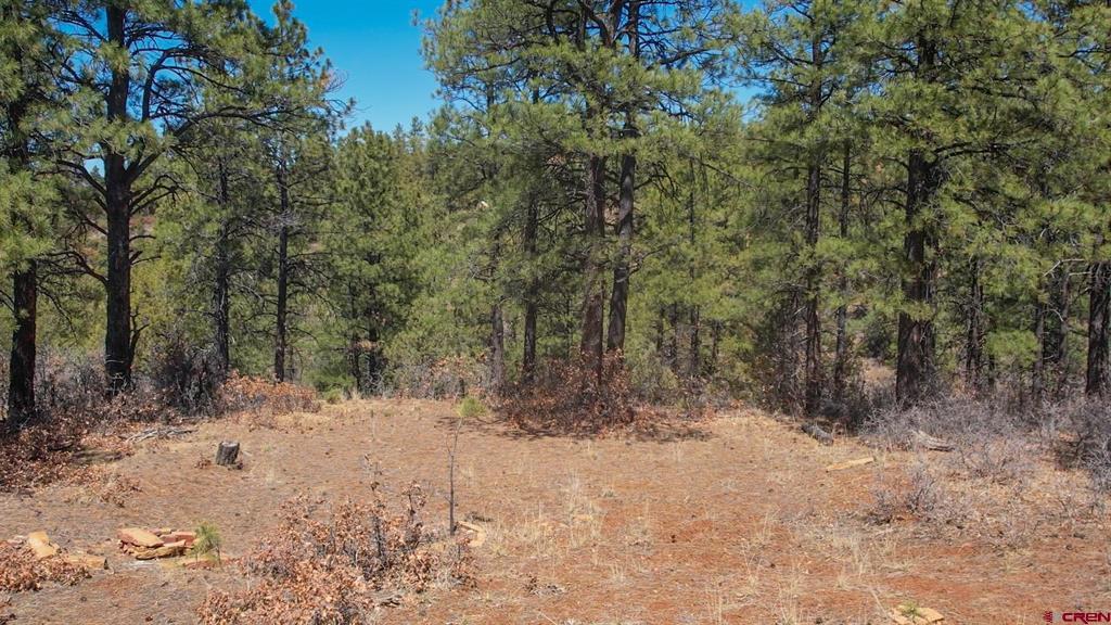154 Engineer Point Property Photo 8