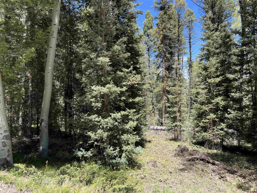 423 Rim Road Property Photo 1