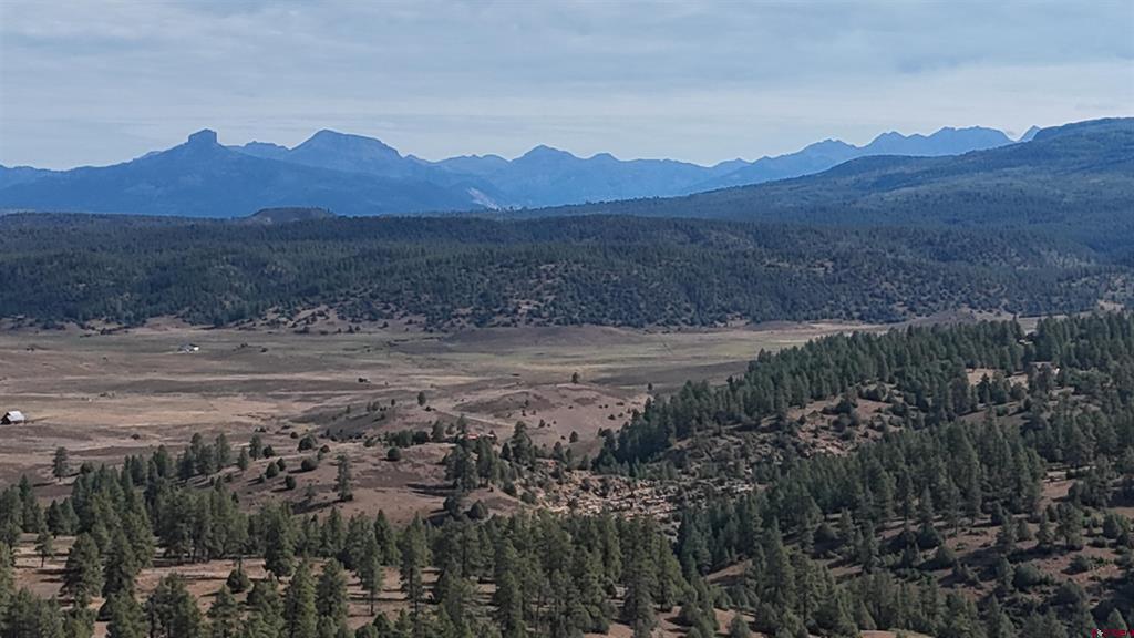 3000 County Road 359 Property Photo 2