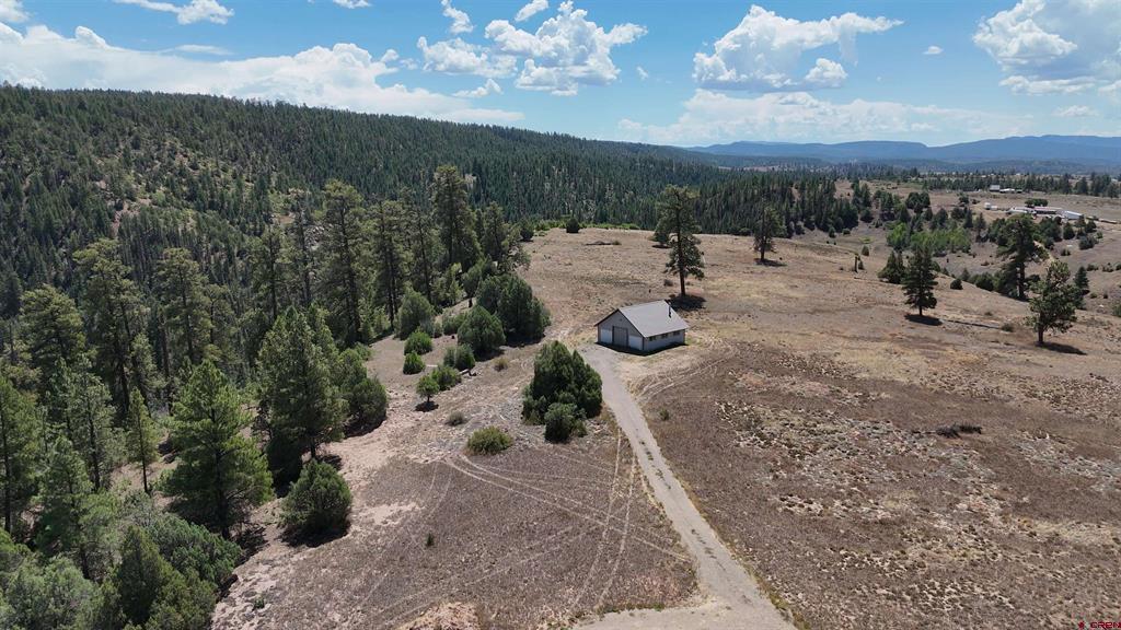 3000 County Road 359 Property Photo 4