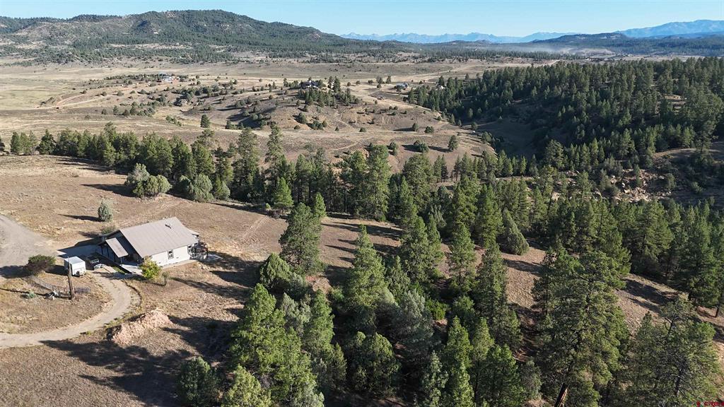 3000 County Road 359 Property Photo 5