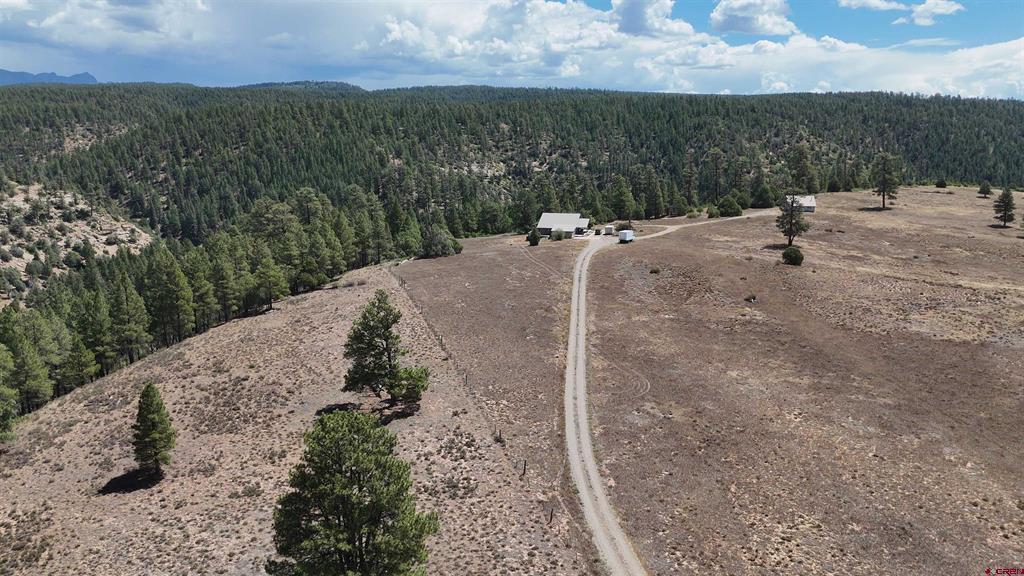 3000 County Road 359 Property Photo 6