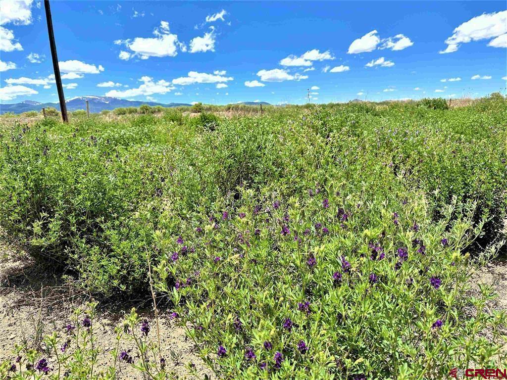 18 County Road 28 Property Photo 10