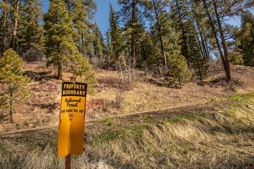 85a Usfs Road 660 #a Property Photo 7