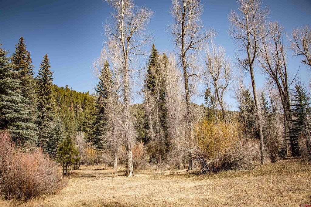 85a Usfs Road 660 #a Property Photo 10