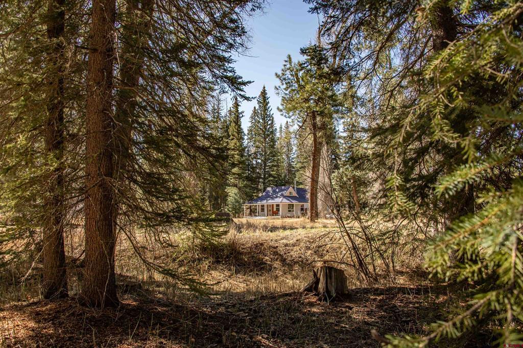 85a Usfs Road 660 #a Property Photo 13