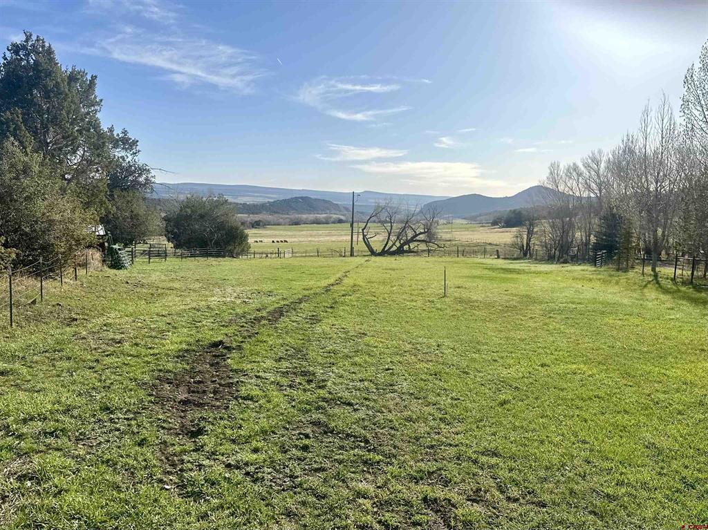 4481 Clark Road Property Photo 41