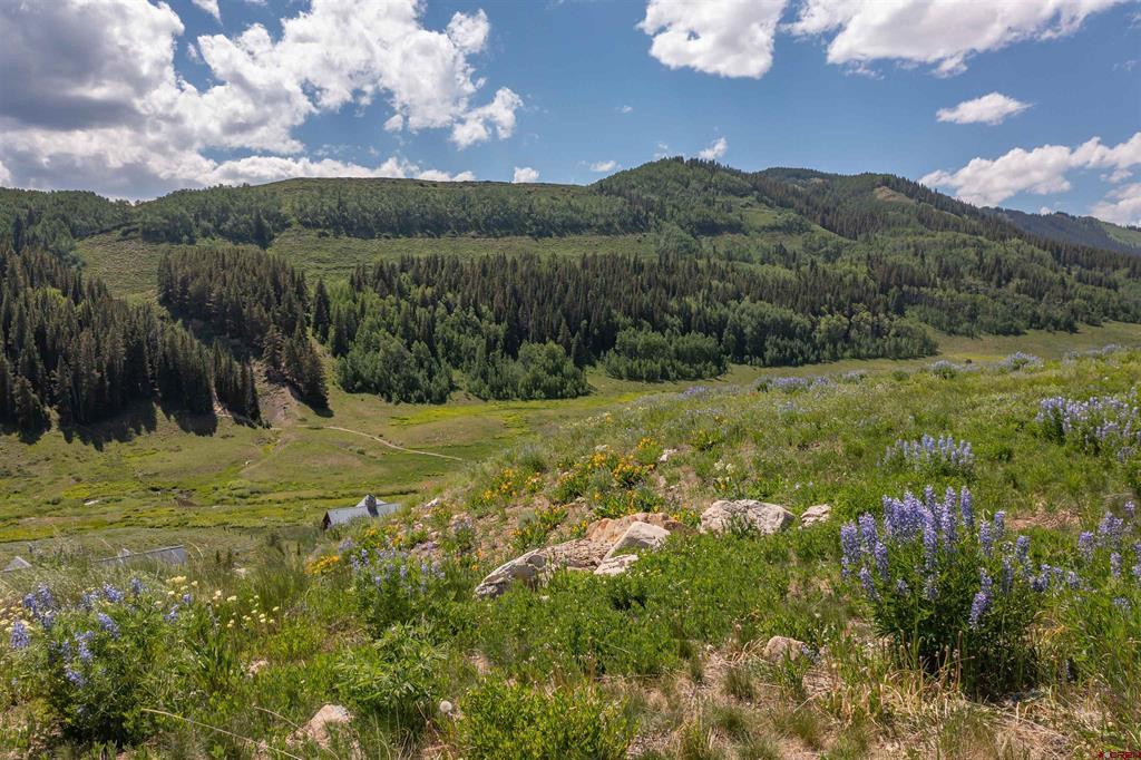 Meridian Lake Meadows Real Estate Listings Main Image