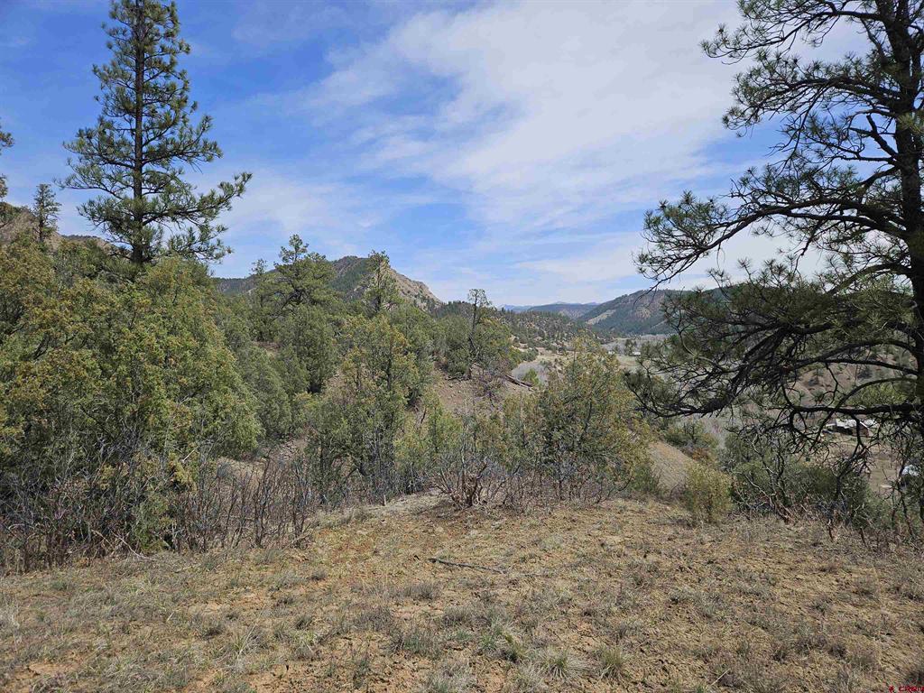 206 Alcazar Place Property Photo 3