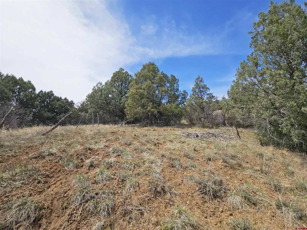 206 Alcazar Place Property Photo 7